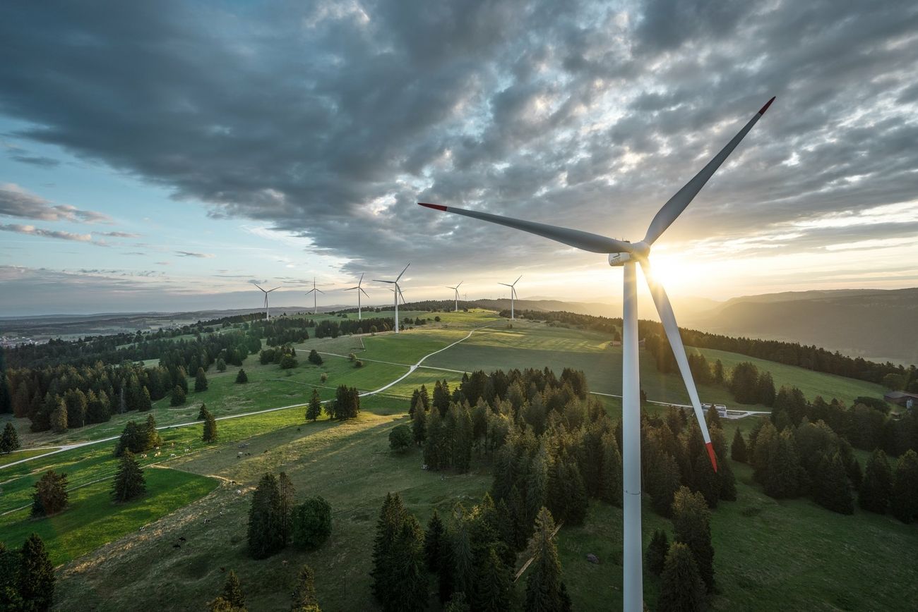 csm_Wirtschaft_und_Politik_20150728_Wind